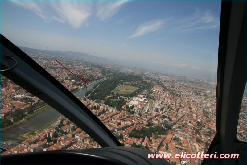 elifoto (241)